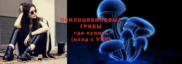 Альфа ПВП Алексин